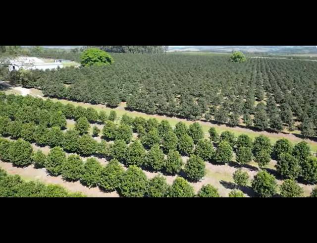 FARM FOR SALE IN PADDOCK